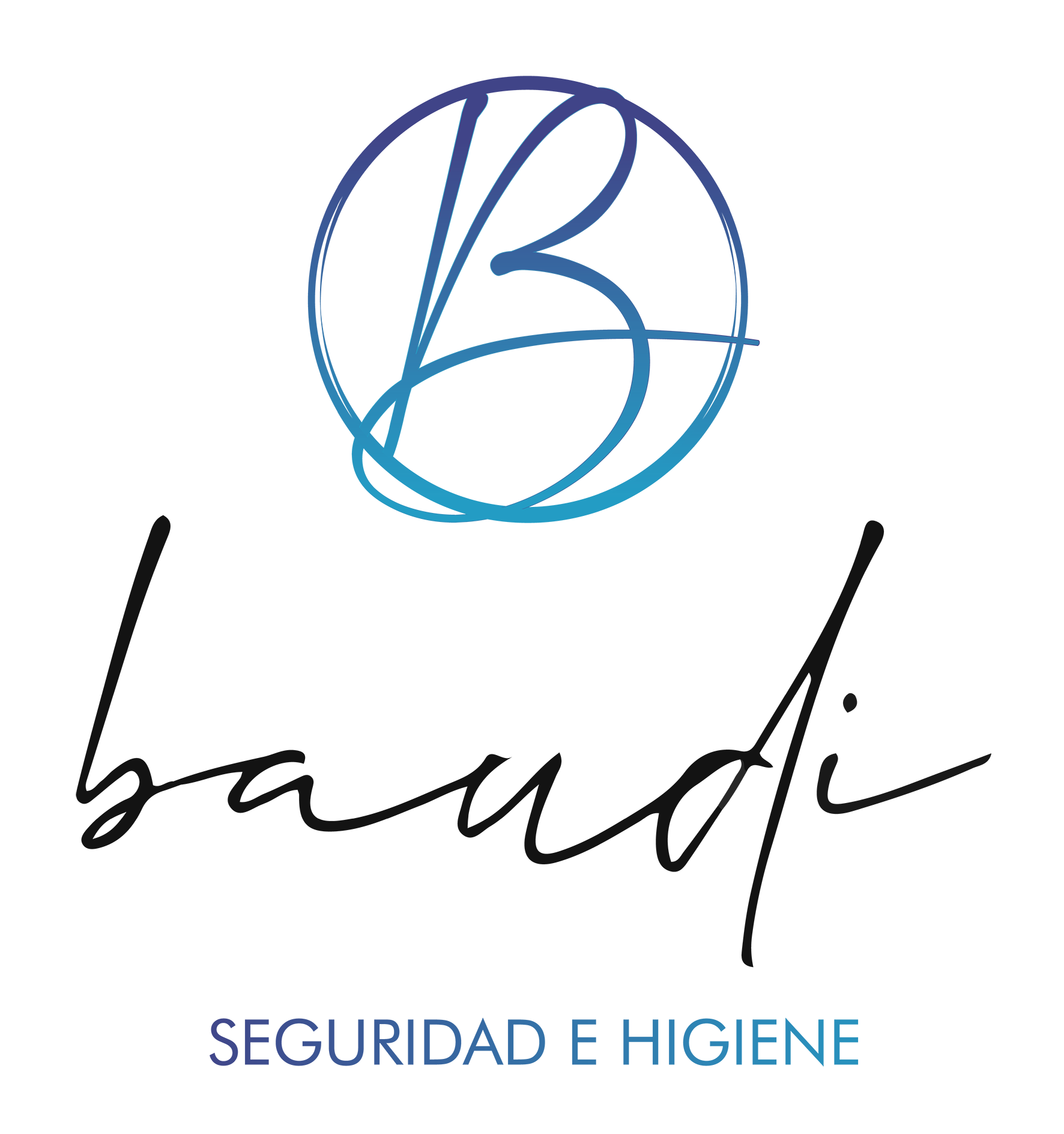 baudi seguridad e higiene